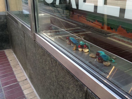 Dwn-the-River_CPSperanza2015_SShw_04