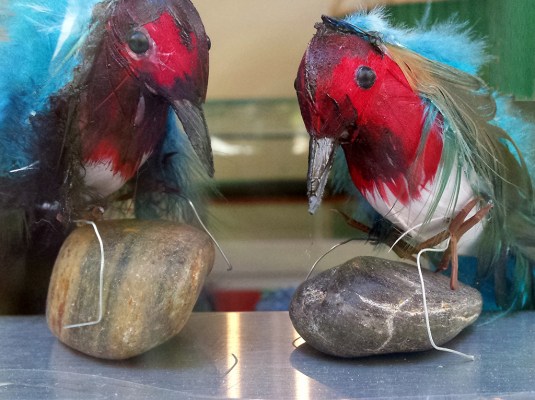 Dwn-the-River_CPSperanza2015_SShw_13