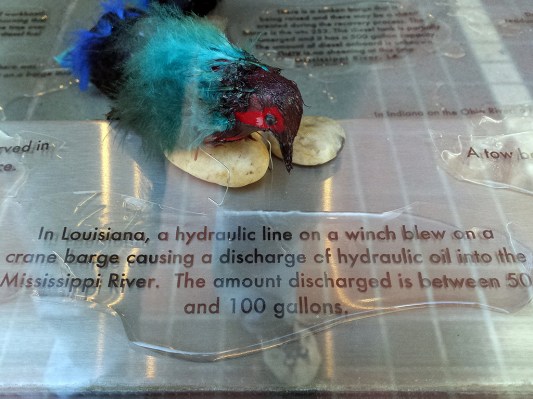 Dwn-the-River_CPSperanza2015_SShw_15