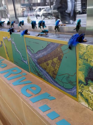 Dwn-the-River_CPSperanza2015_SShw_16